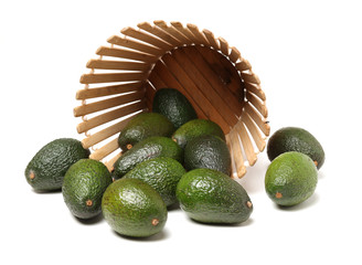 Avocado on a white background