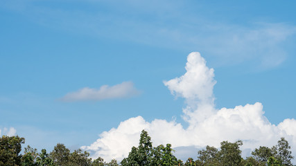 Obraz premium Blue sky and white clouds