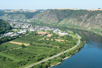 Top view on Mosel river valley and green terraced vineyards, Germany, production of quality white...