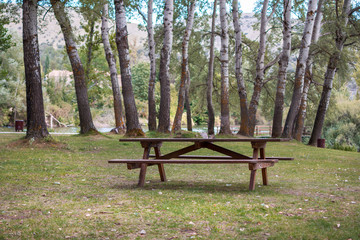 Obraz na płótnie Canvas wooden table to snack in the middle of nature, surrounded by trees.