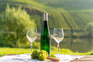 Famous German quality white wine riesling, produced in Mosel wine regio from white grapes growing on slopes of hills in Mosel river valley in Germany
