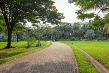 View of exercise paths in the garden