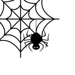 spider of halloween in cobweb