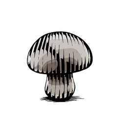 Ink and Watercolor Sketch of a Mushroom