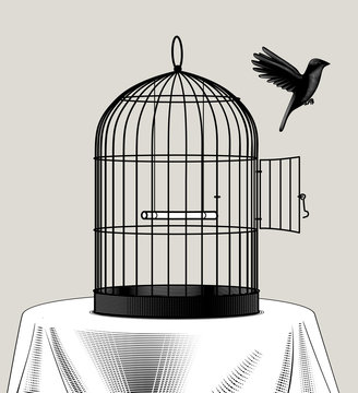 Bird cage and a black bird flying away