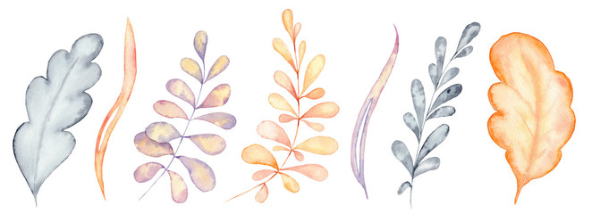 Obraz premium Autumn leaves watercolor set