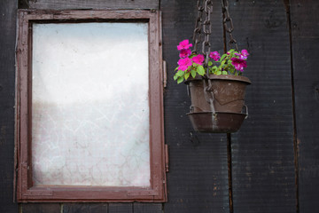 Old window and the pink flower in the pot. Window space is for note or message.