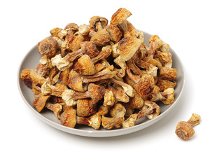 Hazelnuts on white background