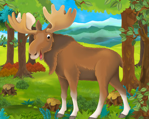 Cartoon animal scene with moose in the forest - illustration for children
