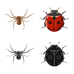Isolated object of insect and fly symbol. Collection of insect and element stock vector illustration.