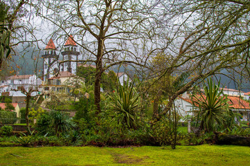 Naklejka premium Garden in Furnas area, São Miguel Island, Azores