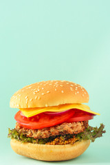 burger (roll, cutlets, cheese, lettuce, tomato, onion, sauce and more) menu concept. food background. copy space. Top view