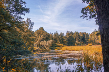 Monrepos park in autumn season. Forest and lake. Vyborg, Russia.