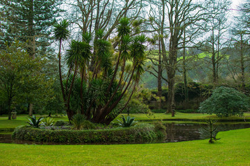 Garden in Furnas area, S&atilde;o Miguel Island, Azores