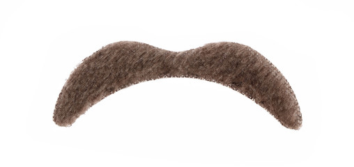 Fake mustache isolated on white background.