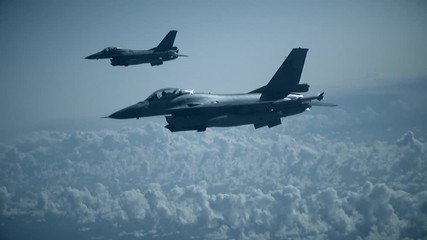 Two fighters pose in the frame