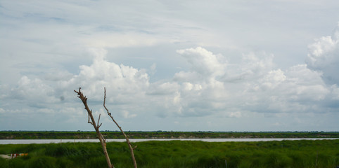 Perfect Sky with River and Green View beside the Padma