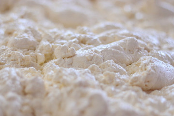 curd - a close-up view of the texture of cottage cheese mass in making organic curd from whole milk