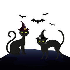 cats feline halloween with hat witch and bats flying