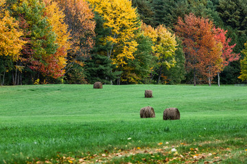 Hay bales in an an autumn field, Brandon, Vermont, USA.