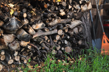 Chopped firewood stacked on green grass. Timbers woodpile logs backdrop. Pile of firewood
