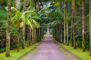 Garden in Furnas area, São Miguel Island, Azores