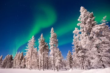 Foto auf Acrylglas Landschaften Nordlichter schneebedeckte Bäume Landschaft, Aurora Borealis in Lappland, Finnland