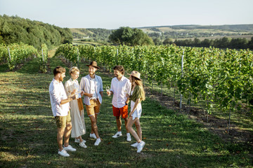 Group of young friends dressed casually hanging out together, tasting wine on the vineyard on a sunny summer morning, beautiful landscape view