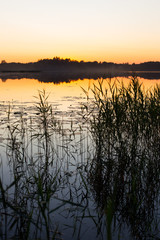 Fototapeta na wymiar Amazing beautiful golden hour sunset over the lake with reeds.