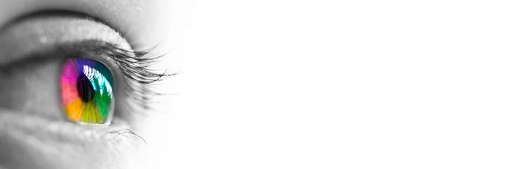 Gardinen Nahaufnahme eines bunten Regenbogenfrauenauges einzeln auf weißem Panoramahintergrund, Farbvisionskonzeptkopf und Webbanner © Delphotostock