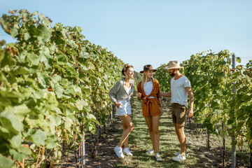 Group of a young friends hanging out together on the vineyard during a sunny morning