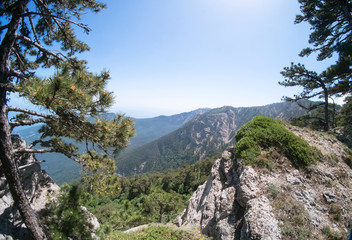 Fototapeta na wymiar Crimean nature. Beautiful view on Yalta in Crimea. Mountains, sea and forest