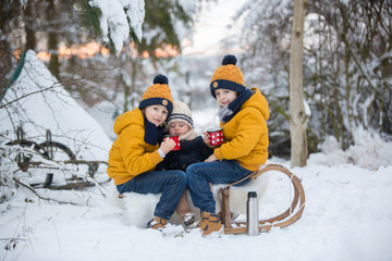 Fototapeta na wymiar Sweet siblings, children having winter party in snowy forest. Young brothers, boys, drinking tea from thermos. Hot drinks and beverage in cold weather