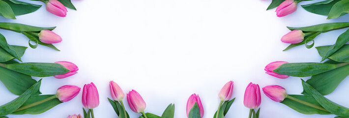 Banner with fresh pink tulips on the white