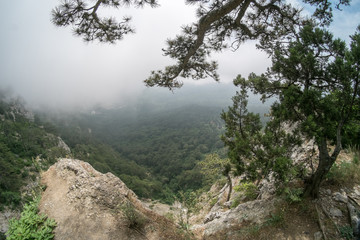 Crimean nature. Beautiful view on Yalta in Crimea. Mountains, sea and forest