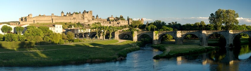 Fototapeta na wymiar panorama of carcassonne castle