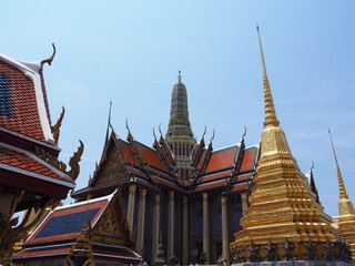 Fototapeta premium OLYMPUS DIGITAL CAMERA