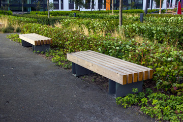 Fragments of modern design from landscaping in the garden, park, square, recreation area. The front...