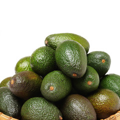 Avocado on a white background