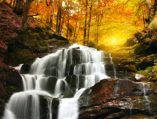 Fototapeta na wymiar Waterfall Cascade in a beautiful deciduous autumn forest. Bright autumn leaves on stones covered with moss by the river. Beautiful autumn landscape. Long exposure.