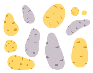 Potatoes in flat style and isolated on white background.