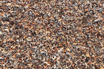 Shell sand background