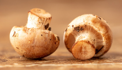 Mushrooms collected in the forest on the table