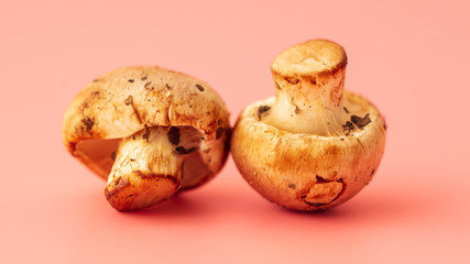 Mushrooms from the forest on a pink background