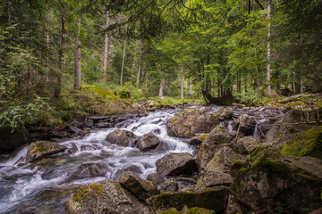 Ruscello di montagna