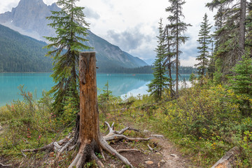 Emerald Lake in Yoho National Park, Canada