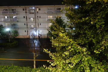 日本の夜の道路