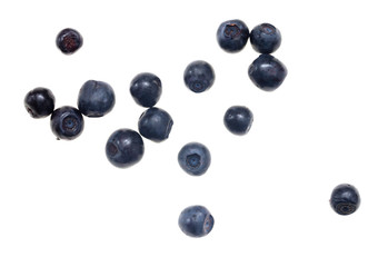 Ripe blueberries on a white background
