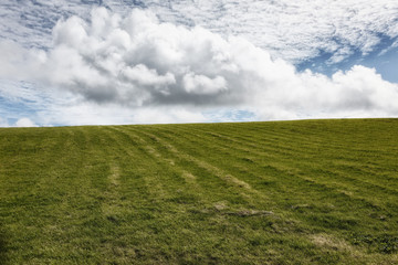 Feld mit Wolken