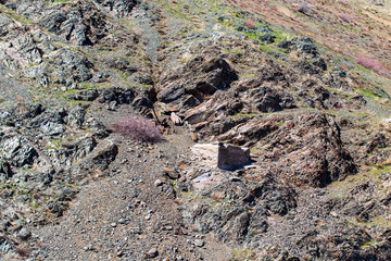 Rocks in the mountains as background